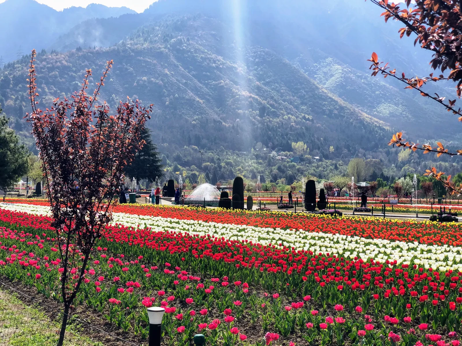 Kashmir Tour